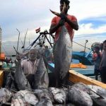 Fishing in India